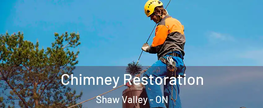  Chimney Restoration Shaw Valley - ON