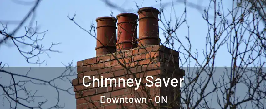  Chimney Saver Downtown - ON