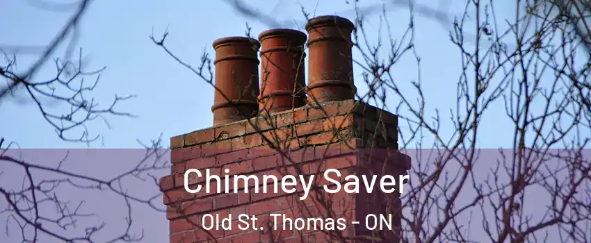  Chimney Saver Old St. Thomas - ON