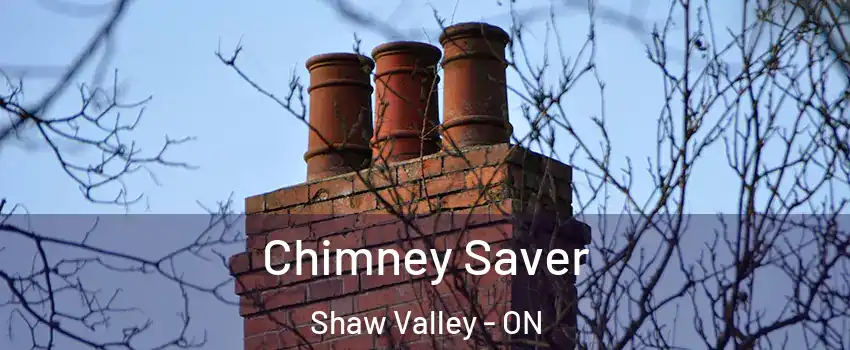  Chimney Saver Shaw Valley - ON