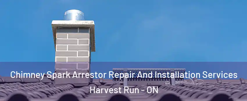  Chimney Spark Arrestor Repair And Installation Services Harvest Run - ON