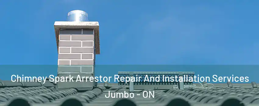  Chimney Spark Arrestor Repair And Installation Services Jumbo - ON