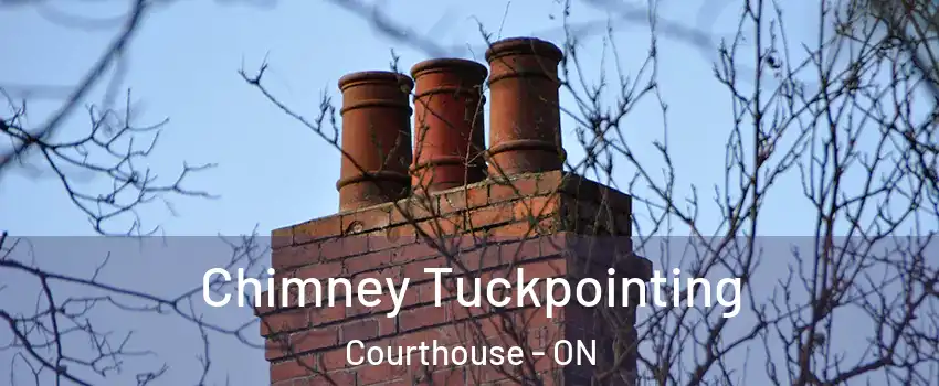  Chimney Tuckpointing Courthouse - ON