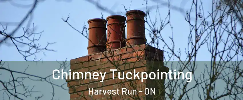  Chimney Tuckpointing Harvest Run - ON