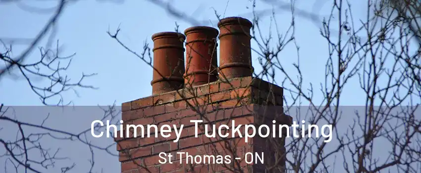  Chimney Tuckpointing St Thomas - ON