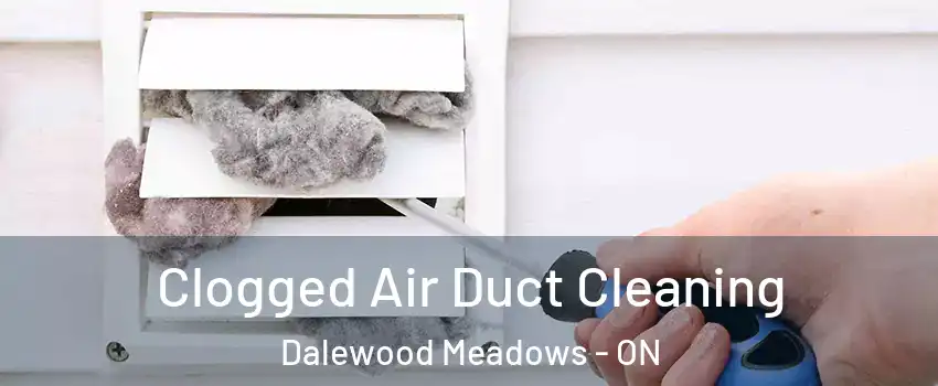  Clogged Air Duct Cleaning Dalewood Meadows - ON