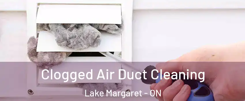  Clogged Air Duct Cleaning Lake Margaret - ON