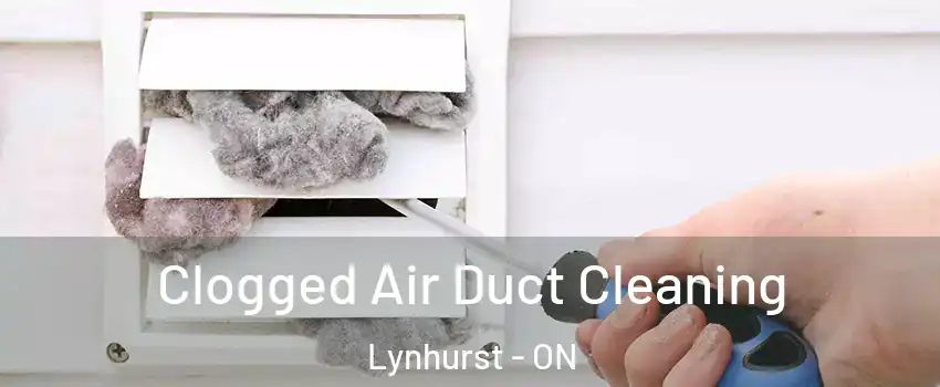  Clogged Air Duct Cleaning Lynhurst - ON