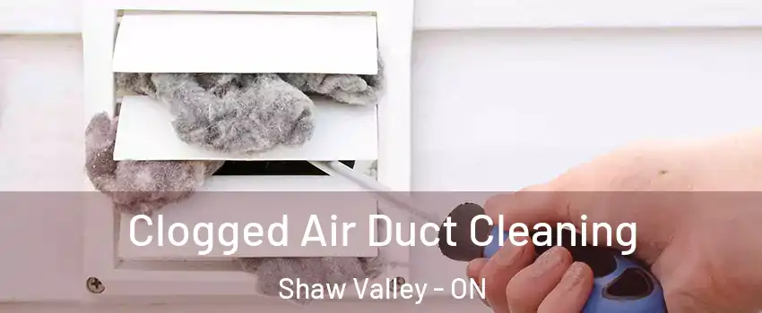  Clogged Air Duct Cleaning Shaw Valley - ON