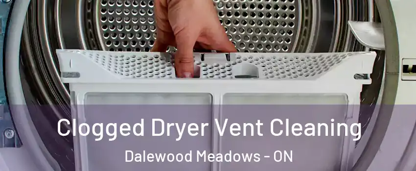  Clogged Dryer Vent Cleaning Dalewood Meadows - ON
