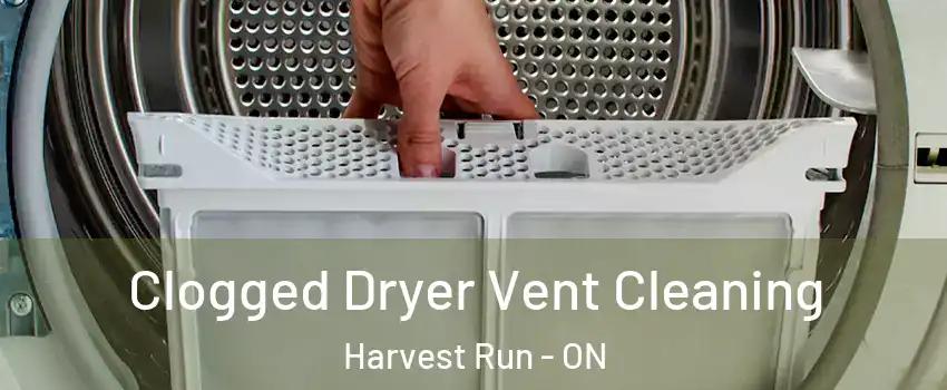  Clogged Dryer Vent Cleaning Harvest Run - ON