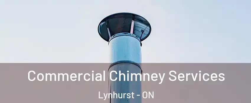  Commercial Chimney Services Lynhurst - ON
