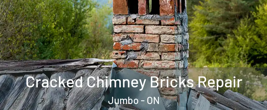  Cracked Chimney Bricks Repair Jumbo - ON