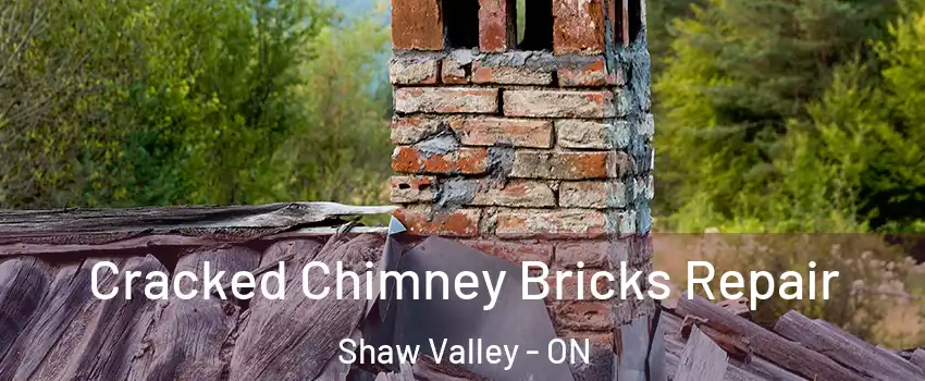  Cracked Chimney Bricks Repair Shaw Valley - ON