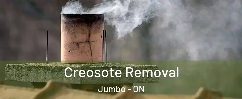  Creosote Removal Jumbo - ON