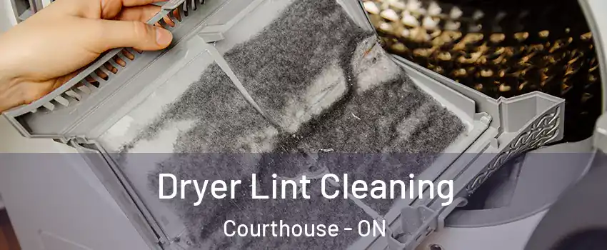  Dryer Lint Cleaning Courthouse - ON