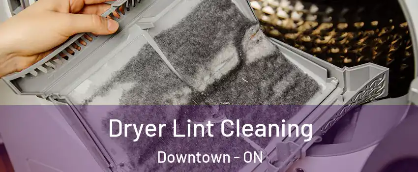  Dryer Lint Cleaning Downtown - ON