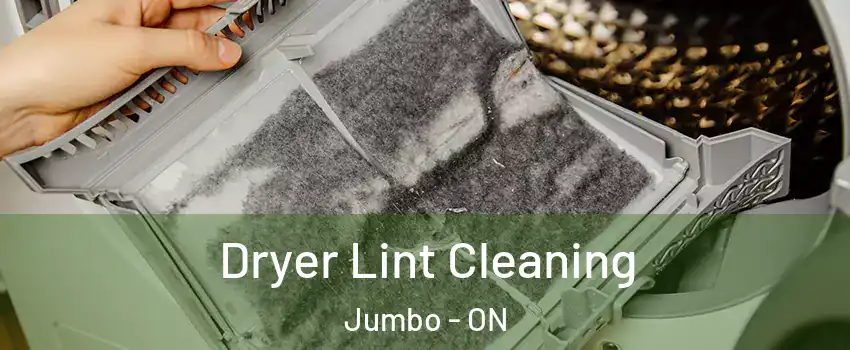  Dryer Lint Cleaning Jumbo - ON