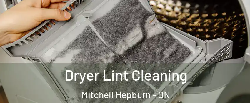  Dryer Lint Cleaning Mitchell Hepburn - ON