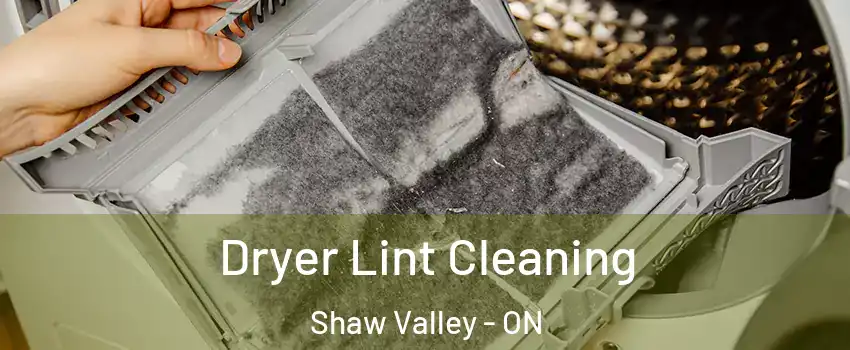  Dryer Lint Cleaning Shaw Valley - ON