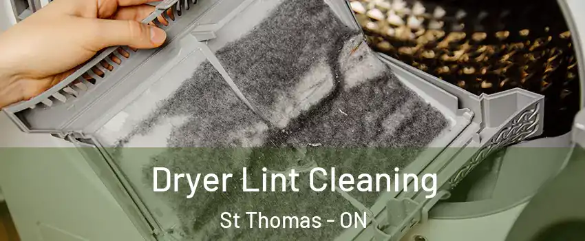  Dryer Lint Cleaning St Thomas - ON