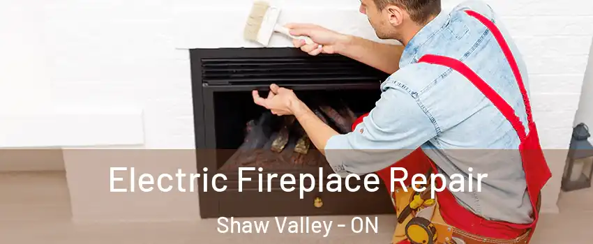  Electric Fireplace Repair Shaw Valley - ON