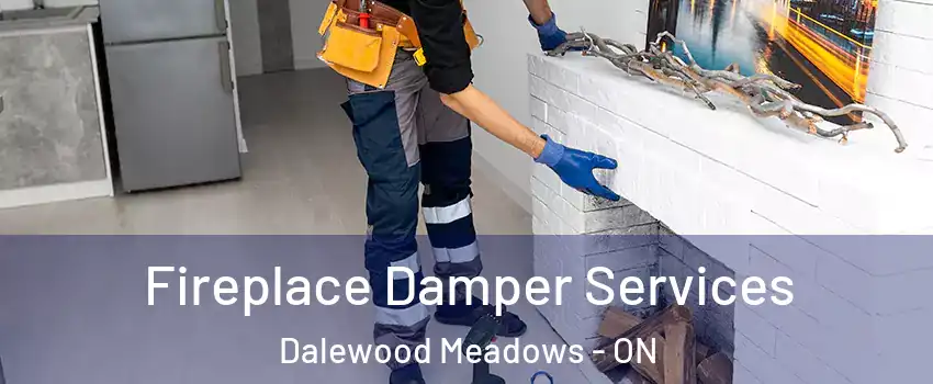  Fireplace Damper Services Dalewood Meadows - ON