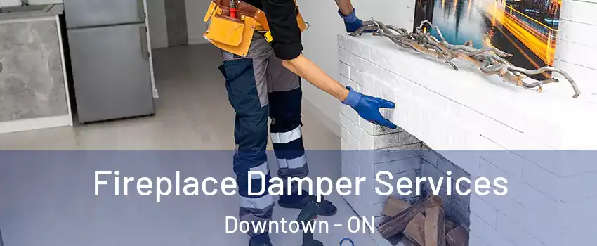  Fireplace Damper Services Downtown - ON