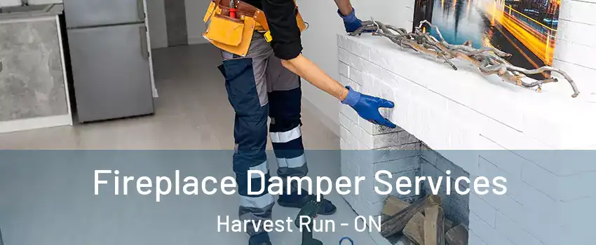  Fireplace Damper Services Harvest Run - ON