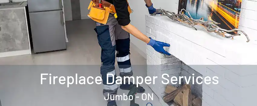  Fireplace Damper Services Jumbo - ON