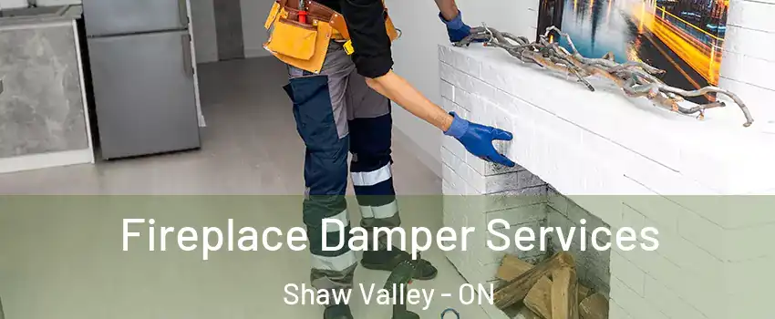  Fireplace Damper Services Shaw Valley - ON