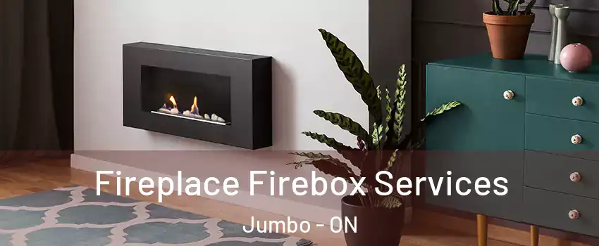 Fireplace Firebox Services Jumbo - ON