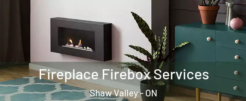  Fireplace Firebox Services Shaw Valley - ON