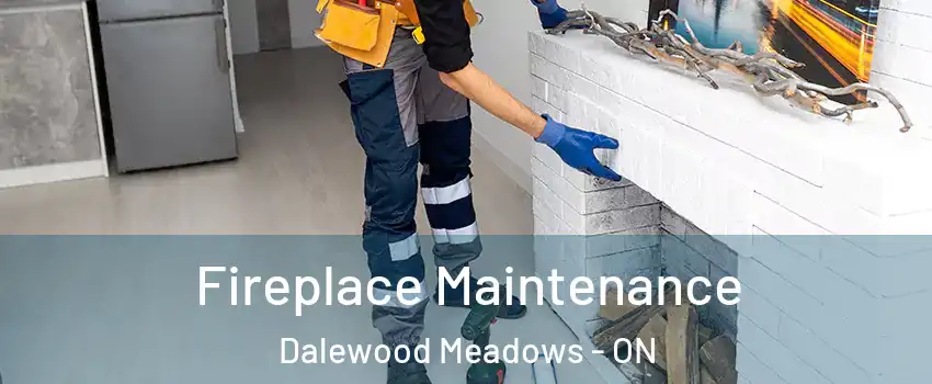 Fireplace Maintenance Dalewood Meadows - ON