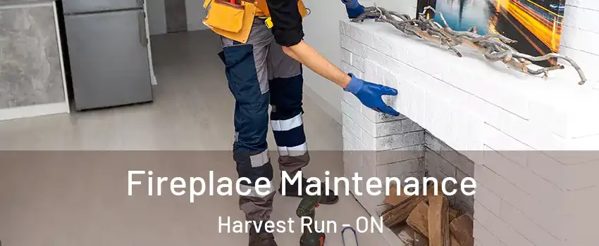  Fireplace Maintenance Harvest Run - ON