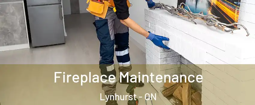  Fireplace Maintenance Lynhurst - ON
