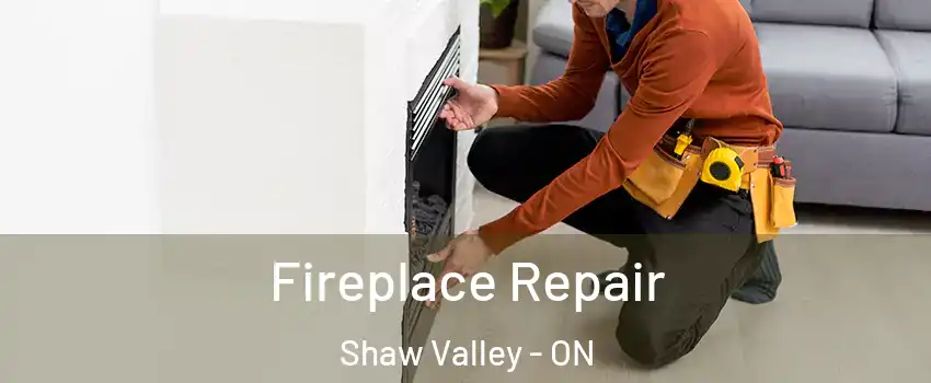  Fireplace Repair Shaw Valley - ON
