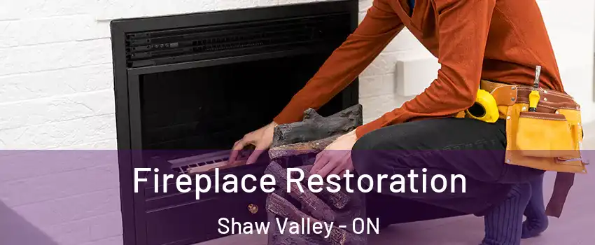  Fireplace Restoration Shaw Valley - ON