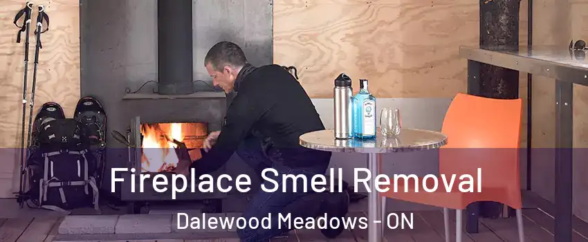 Fireplace Smell Removal Dalewood Meadows - ON