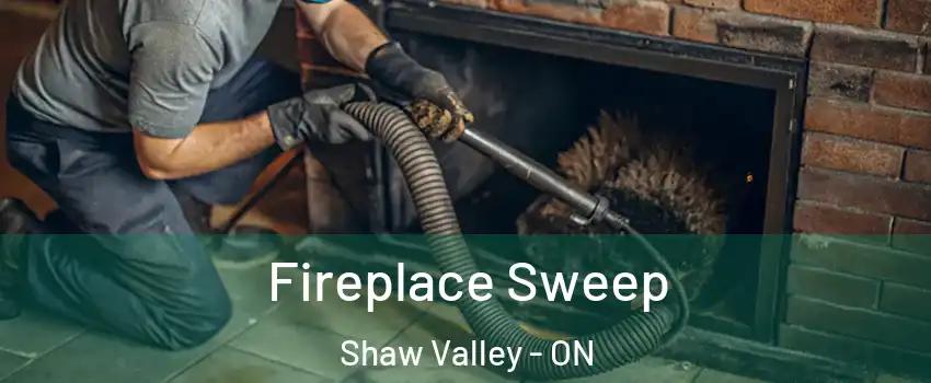  Fireplace Sweep Shaw Valley - ON