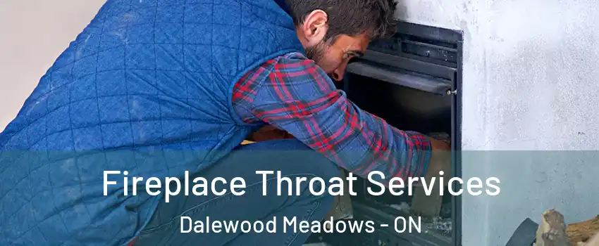  Fireplace Throat Services Dalewood Meadows - ON