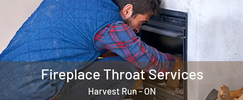  Fireplace Throat Services Harvest Run - ON