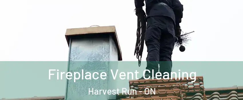  Fireplace Vent Cleaning Harvest Run - ON