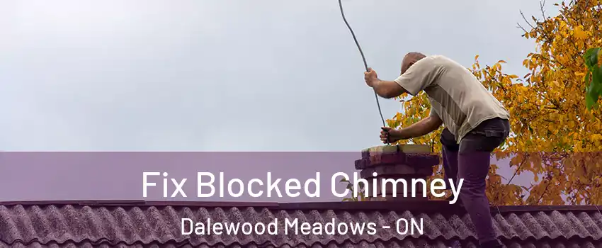  Fix Blocked Chimney Dalewood Meadows - ON