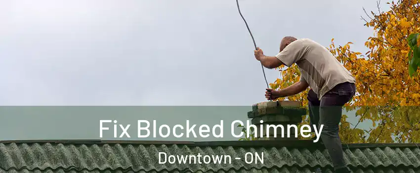  Fix Blocked Chimney Downtown - ON