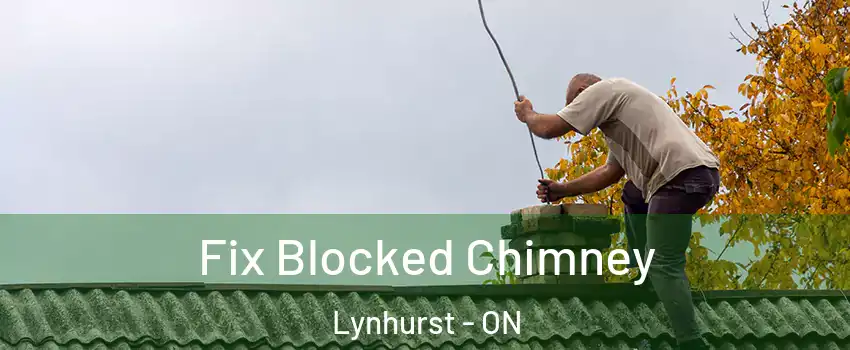  Fix Blocked Chimney Lynhurst - ON