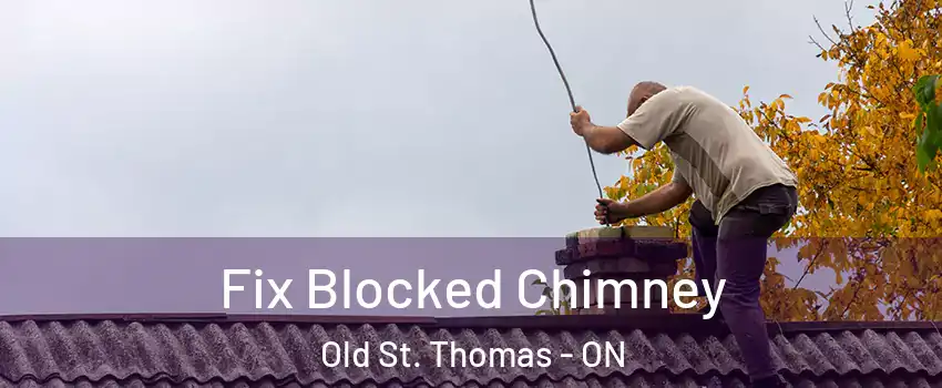  Fix Blocked Chimney Old St. Thomas - ON