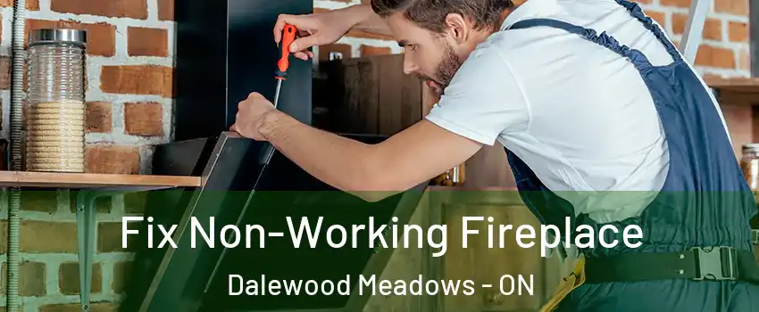  Fix Non-Working Fireplace Dalewood Meadows - ON