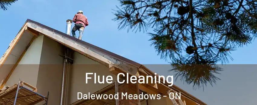  Flue Cleaning Dalewood Meadows - ON