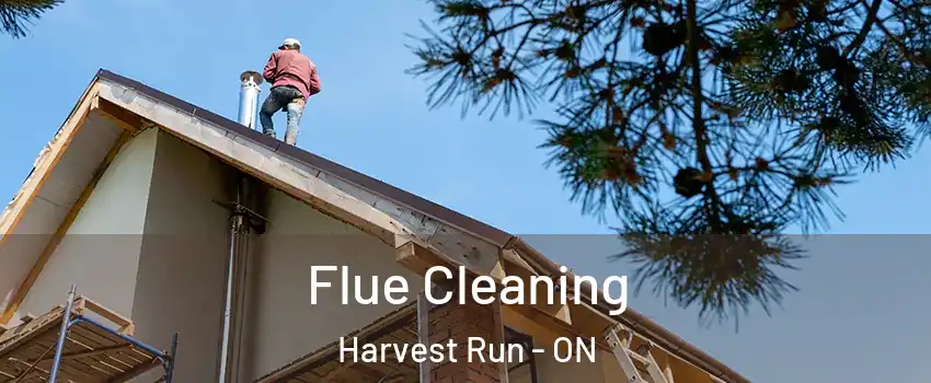  Flue Cleaning Harvest Run - ON